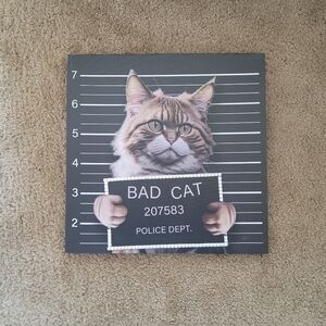 Cat Mugshot Canvas (20in×20in)